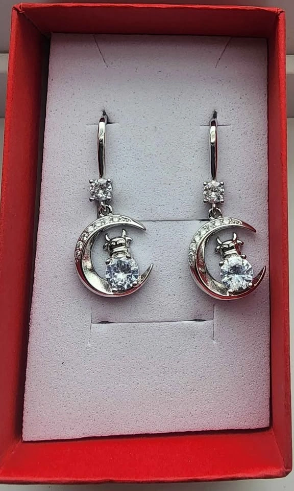 Sterling Silver Earrings - photo 5