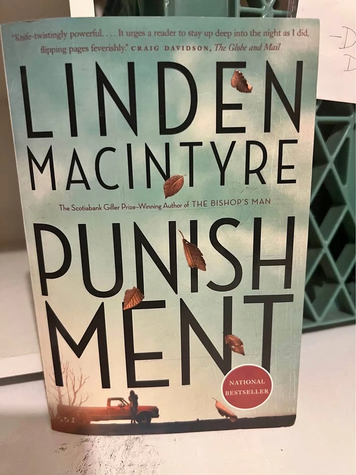 Punishment by Linden MacIntyre Paperback