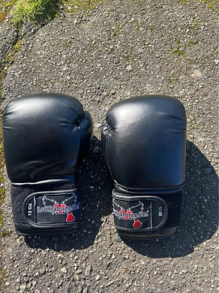Shin/Foot Pads, Kickboxing Gloves, and 16oz Boxing Gloves - photo 4
