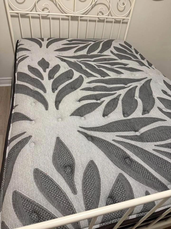 Double Size Sealy Mattress