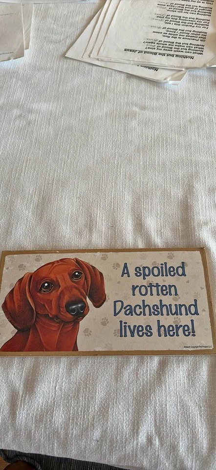 A spoiled, rotten dachshund lives here!