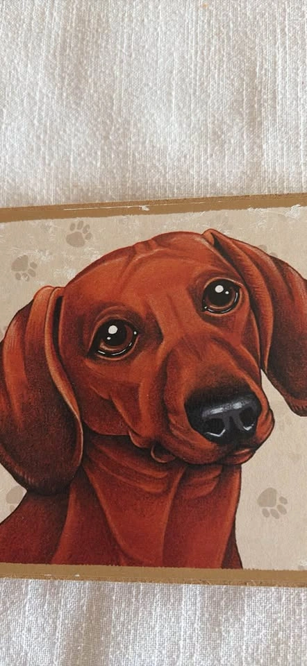 A spoiled, rotten dachshund lives here! - photo 2