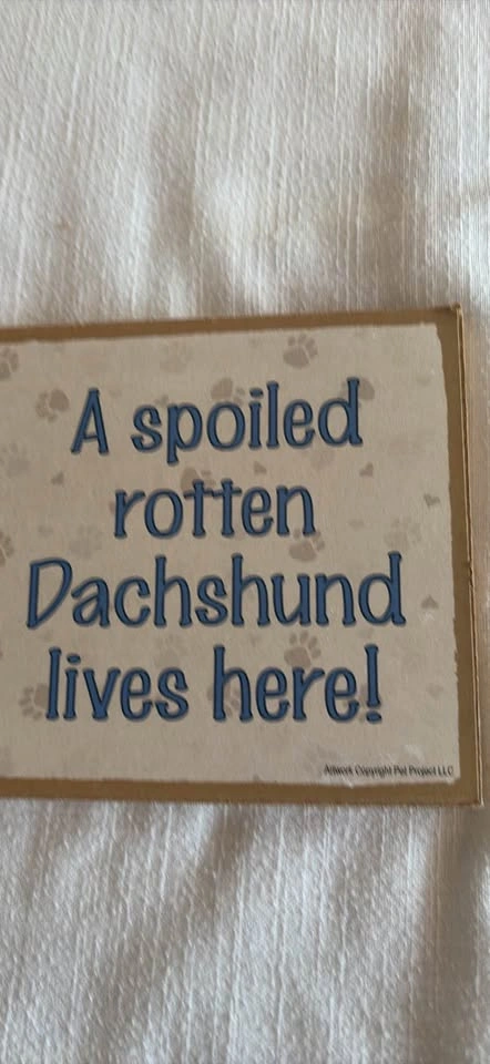 A spoiled, rotten dachshund lives here! - photo 3