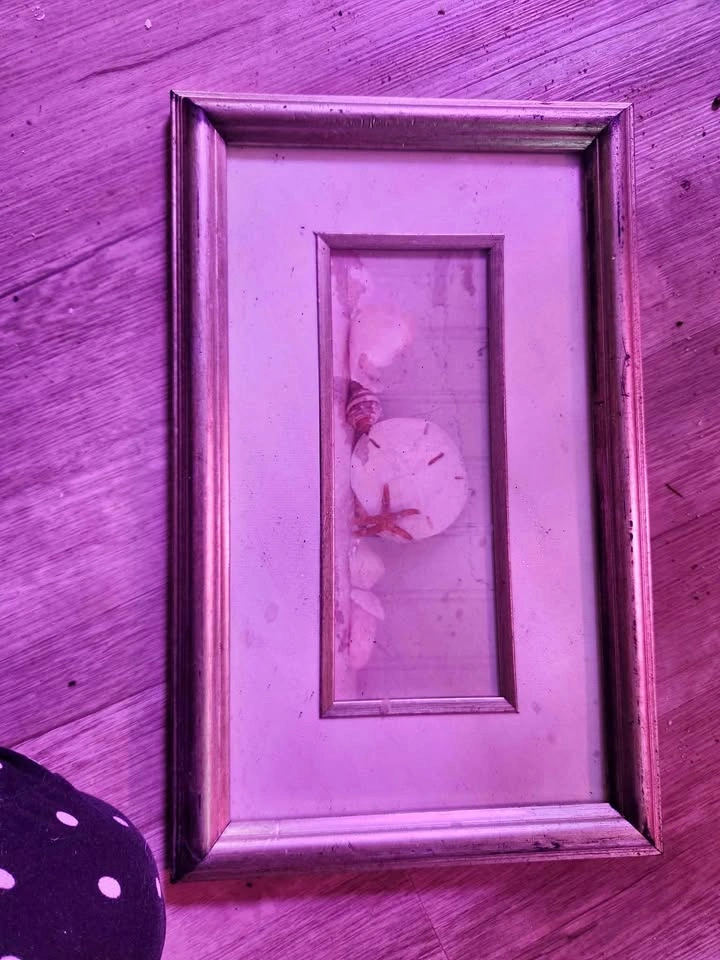 Seaside art work 🌱