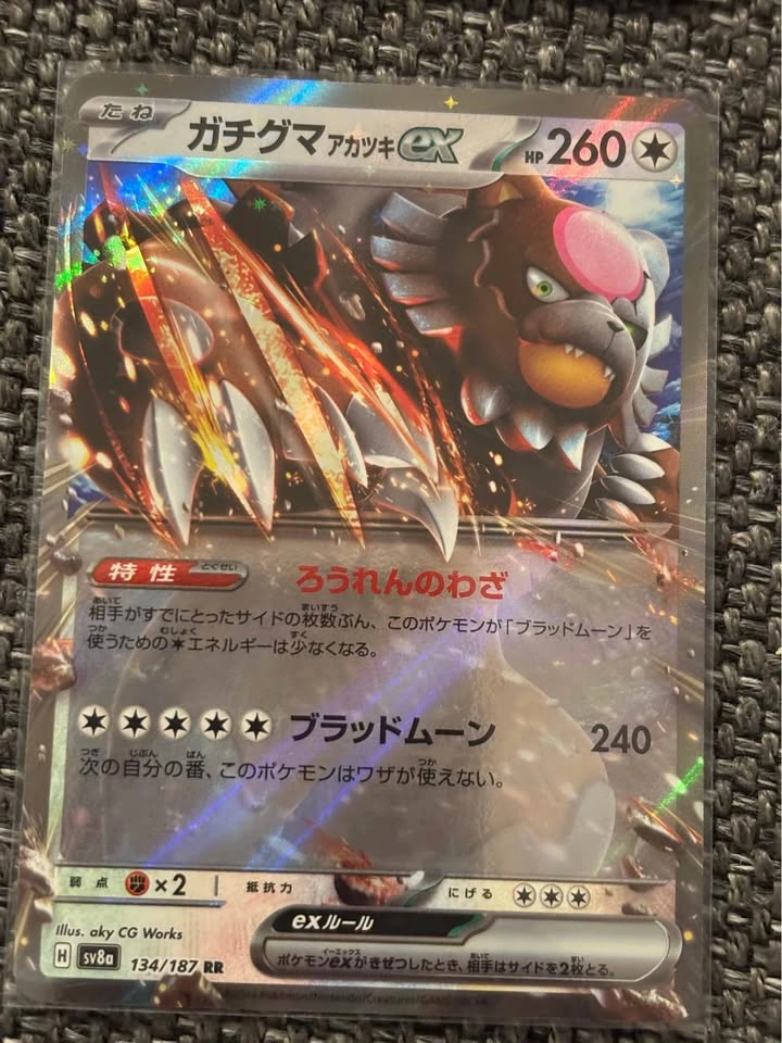 Japanese EX Double Rare Bundle - photo 5