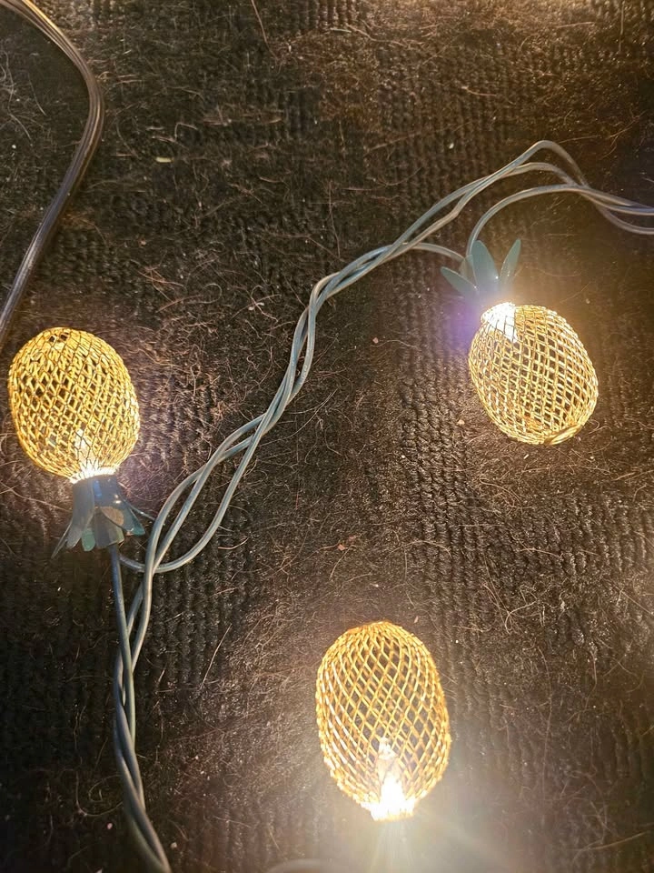 Pineapple Mesh Gold Green Strand Lights - photo 3
