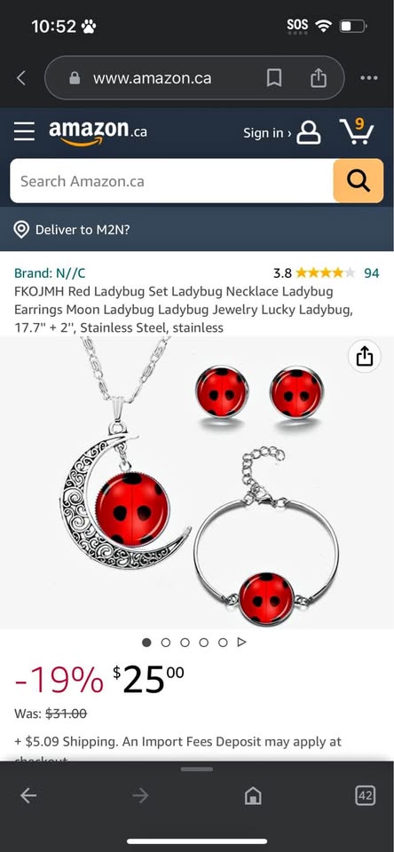 Ladybug Set