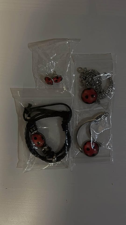 Ladybug Set - photo 2
