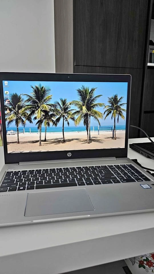 HP ProBook 450 G6 – i5 8th Gen / 8GB RAM / SSD / Win 11