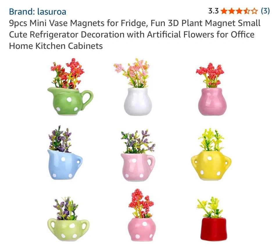 6pcs Mini Vase Magnets
