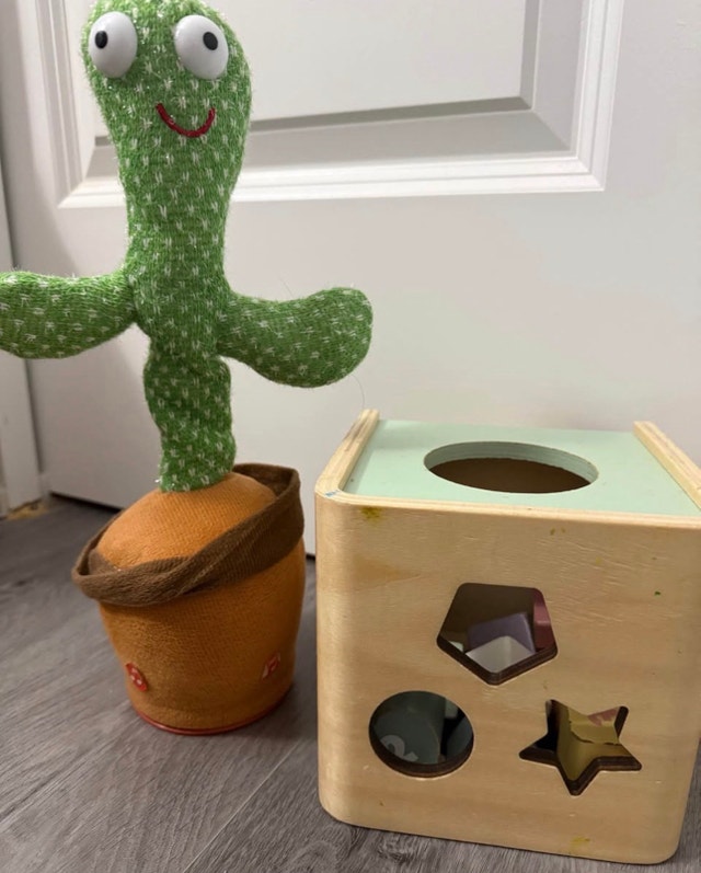 Baby Toys - Dancing Cactus & Shape Sorter
