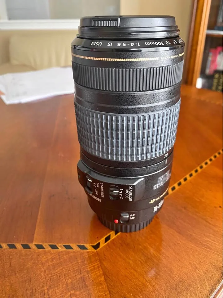 Canon EF 70-300mm f/4-5.6 IS Usm thumbnail