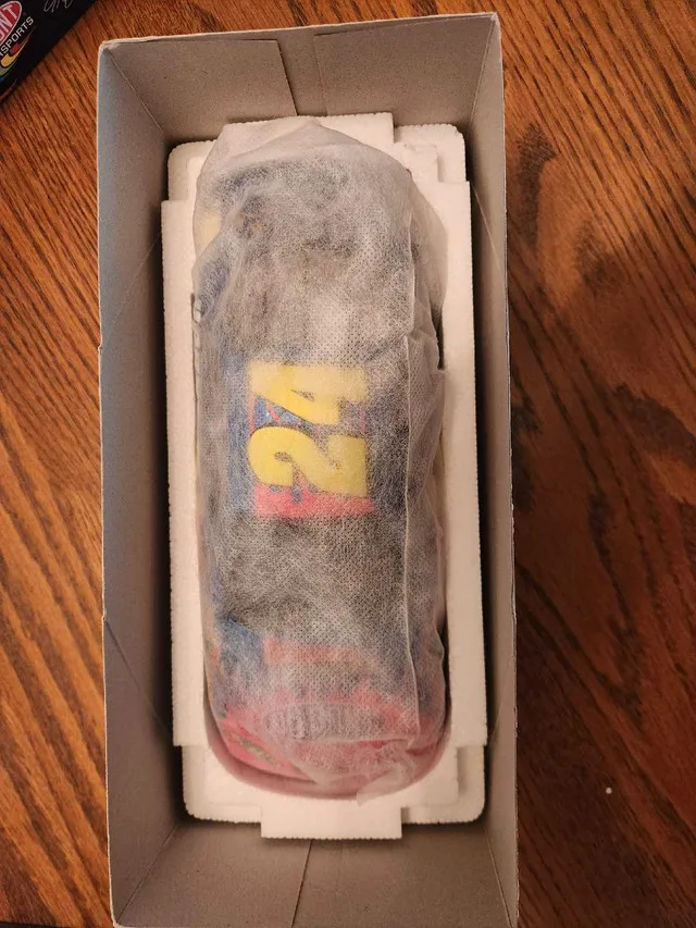 Jeff Gordon Looney Tunes 1/24 Diecast image indicator(5)