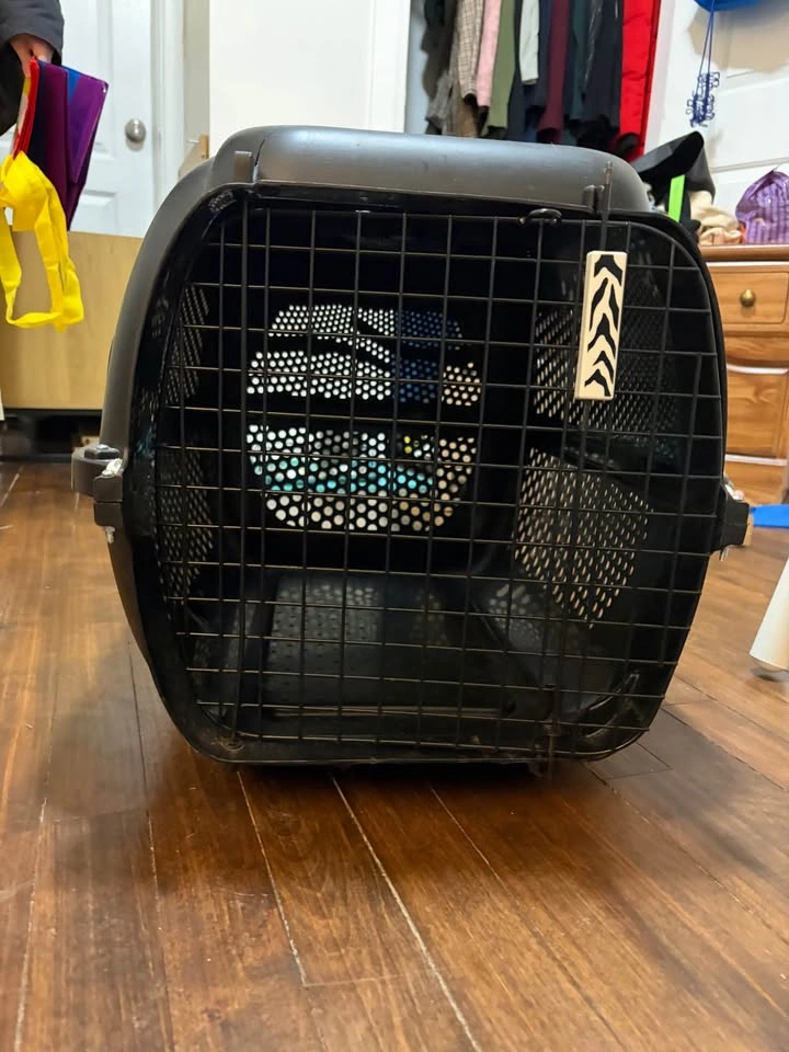 Large Dogit Travel Voyageur Crate (Cats/Dogs) - photo 2
