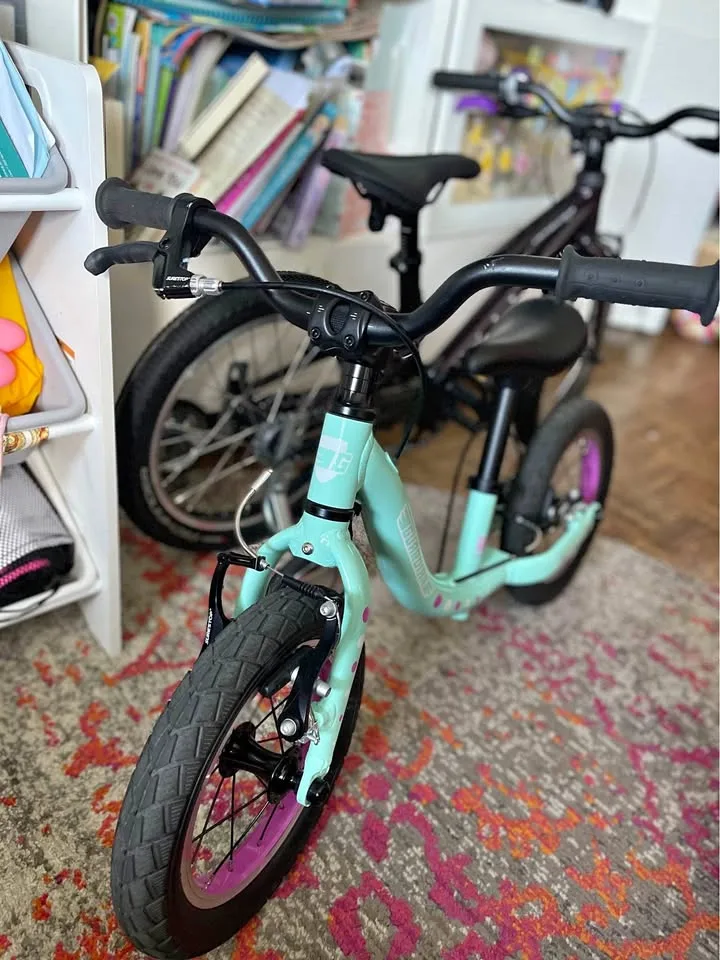 Guardian Balance Bike thumbnail