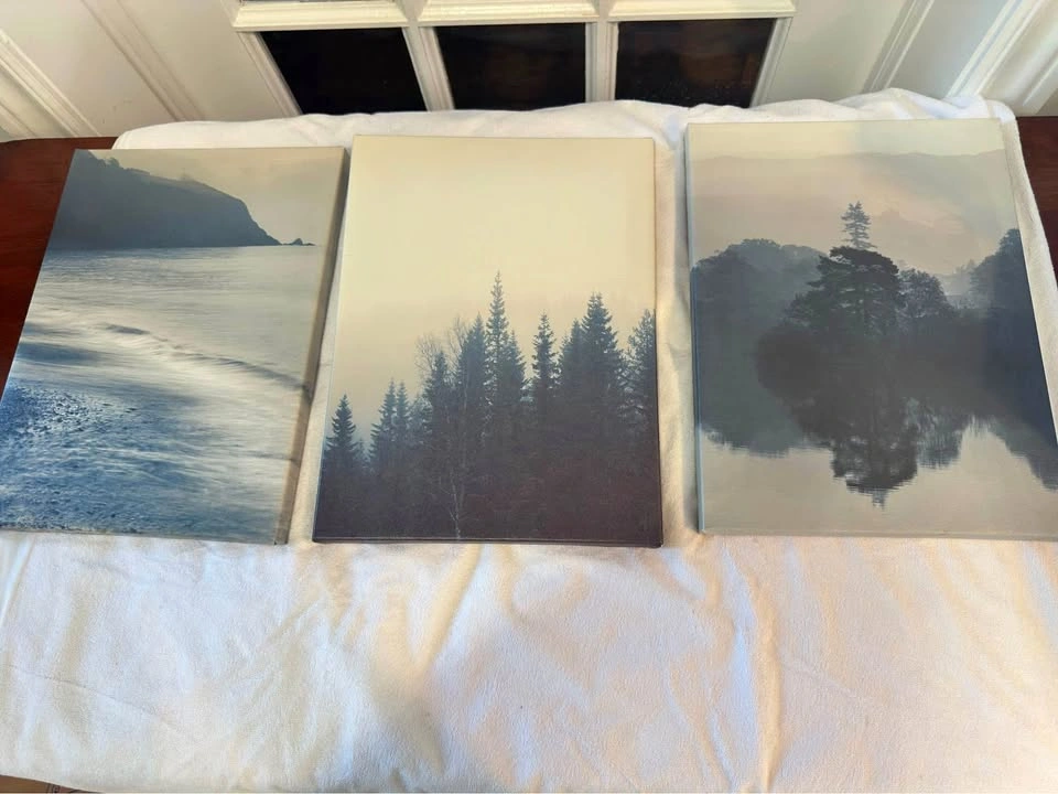 Art canvas (3 pieces) $20 for all 3