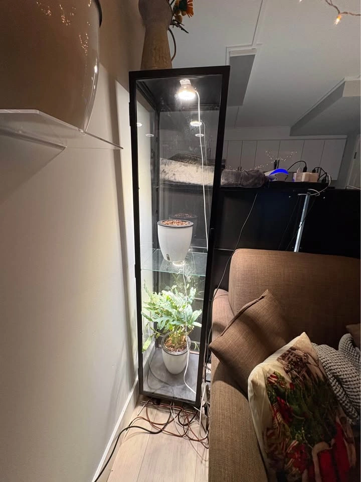 IKEA Glass Cabinet on Wheels - photo 2