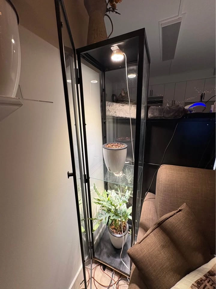 IKEA Glass Cabinet on Wheels - photo 3