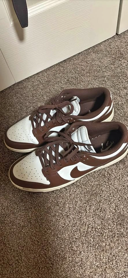 Size 12 Nike Dunk Sneakers Used
