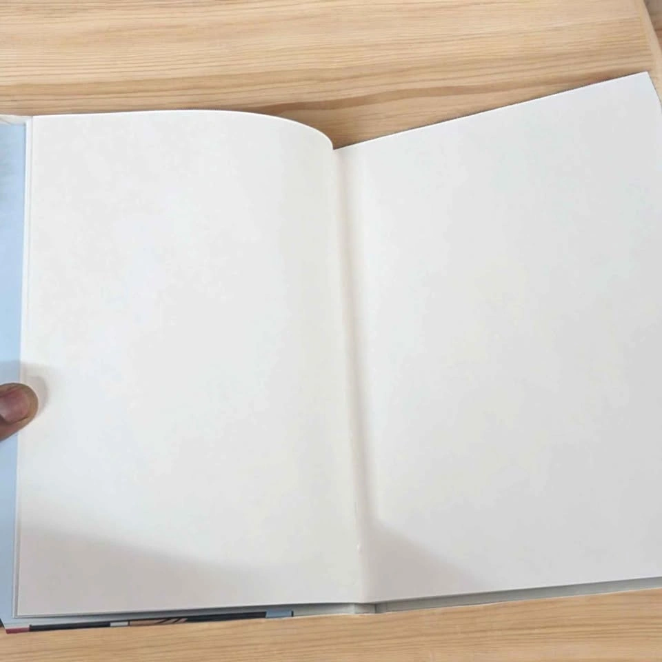 The Office Theme Diary - photo 3
