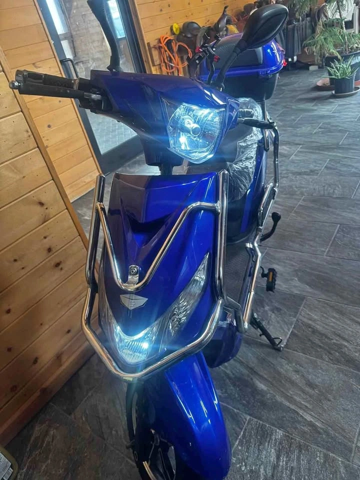 Electric Scooter Hornet X 48V – Full Bundle + Accessories!