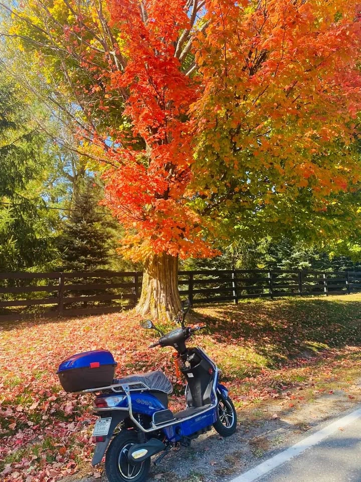 Electric Scooter Hornet X 48V – Full Bundle + Accessories! - photo 2