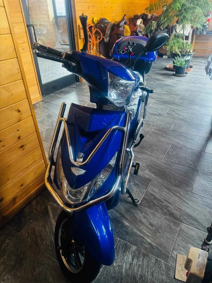 Electric Scooter Hornet X 48V – Full Bundle + Accessories! - photo 5