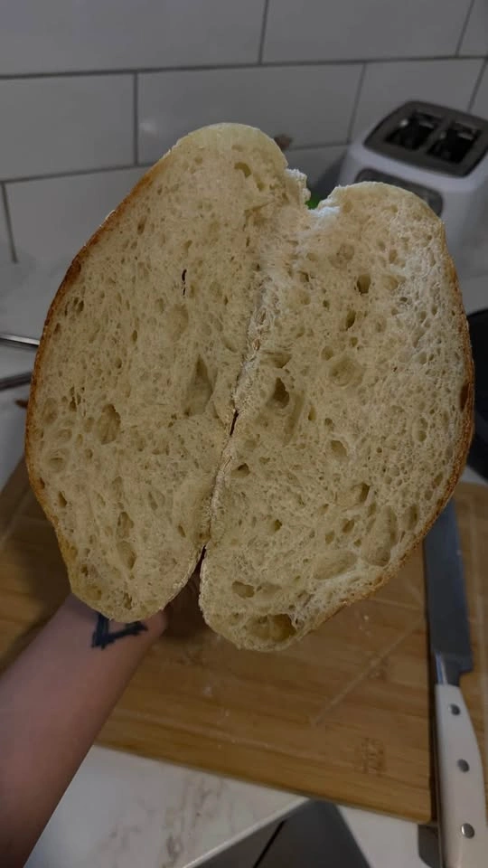 Sourdough Starter — “Jane” | Handcrafted in Ontario - photo 3