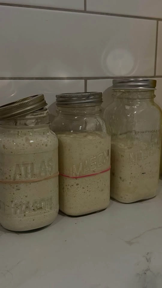 Sourdough Starter — “Jane” | Handcrafted in Ontario - photo 4