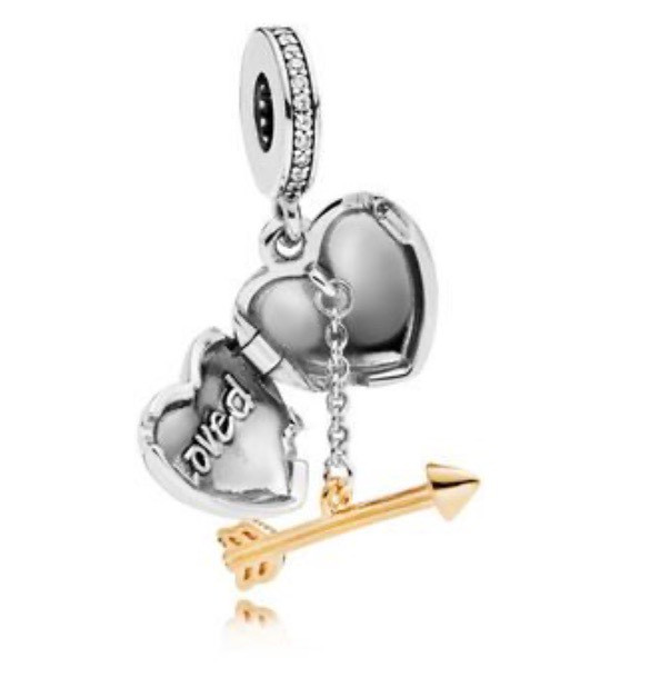 Pandora Bangle with 2 kinds of charms (to be sold separately) - photo 3