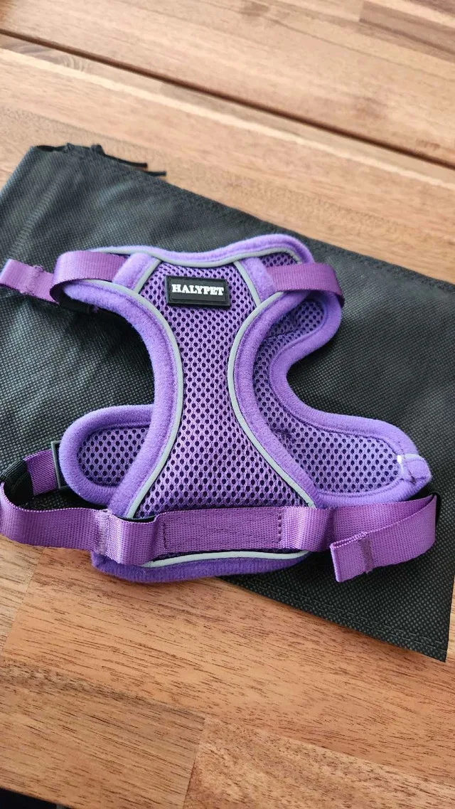 Cat Harness for Walking Small *new thumbnail