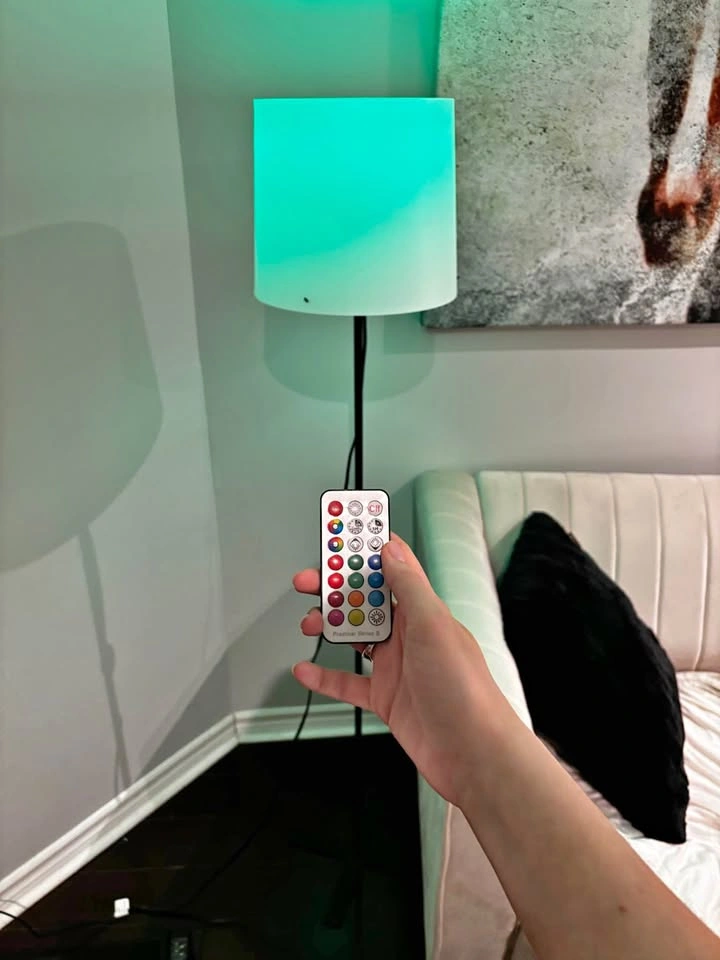 Floor lamp including bulb / remote