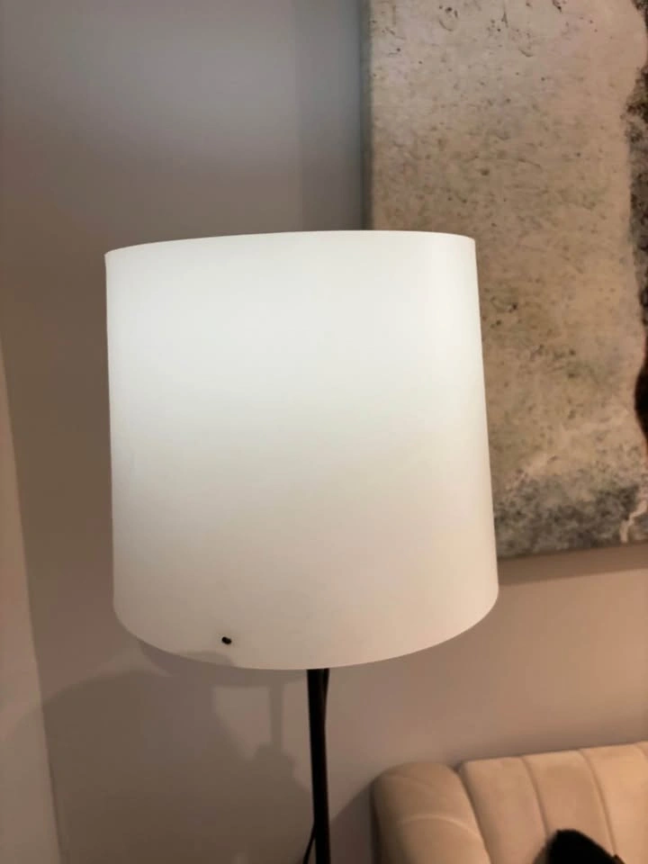 Floor lamp including bulb / remote - photo 2