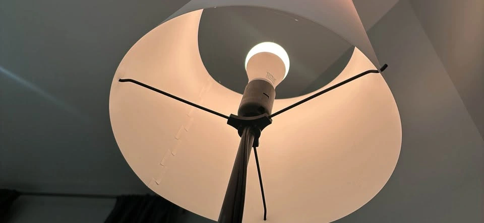 Floor lamp including bulb / remote - photo 3