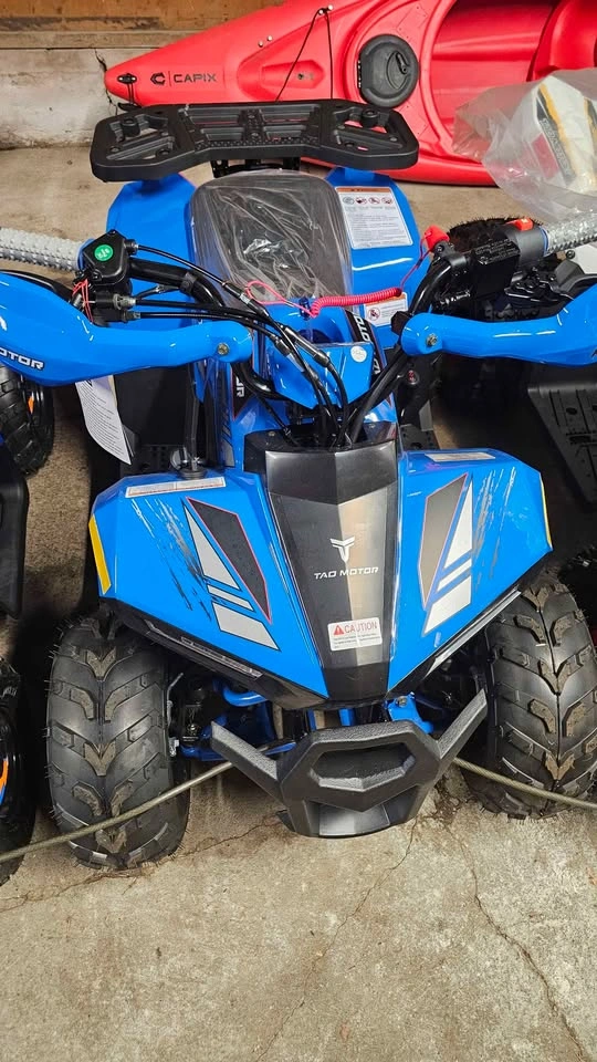 New Rear Rack for Tao Kids ATVs - photo 5