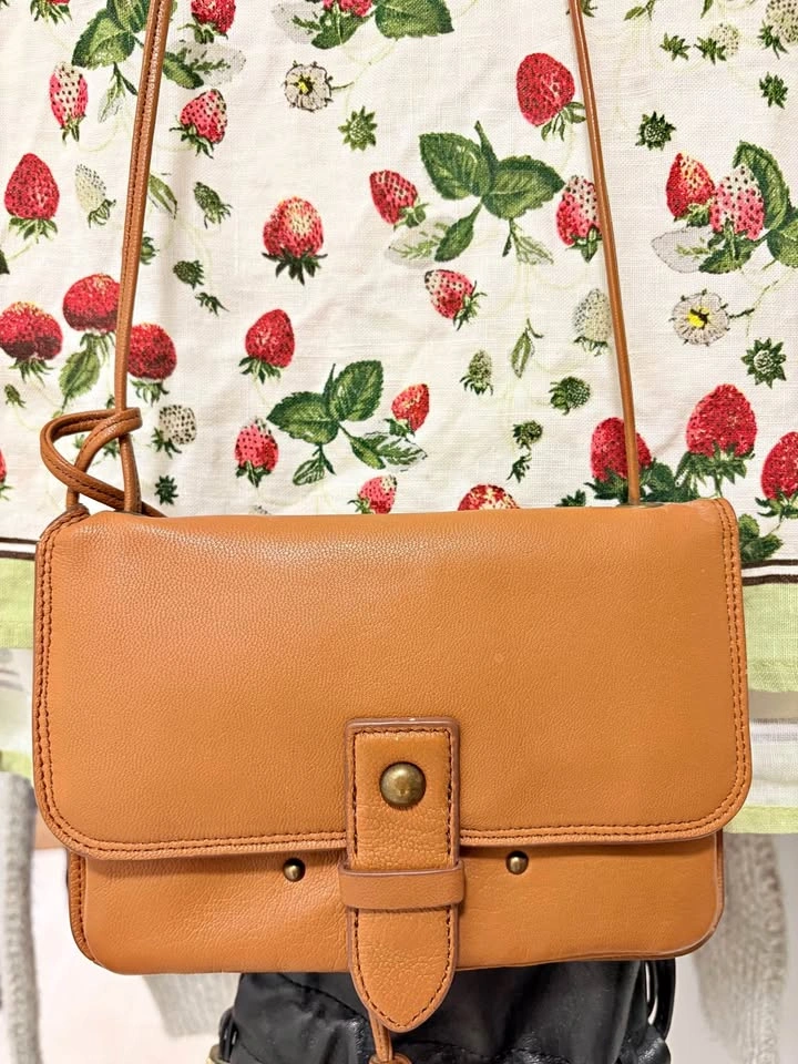 Leather Crossbody Wallet / Organizer Bag – Multi-Compartment