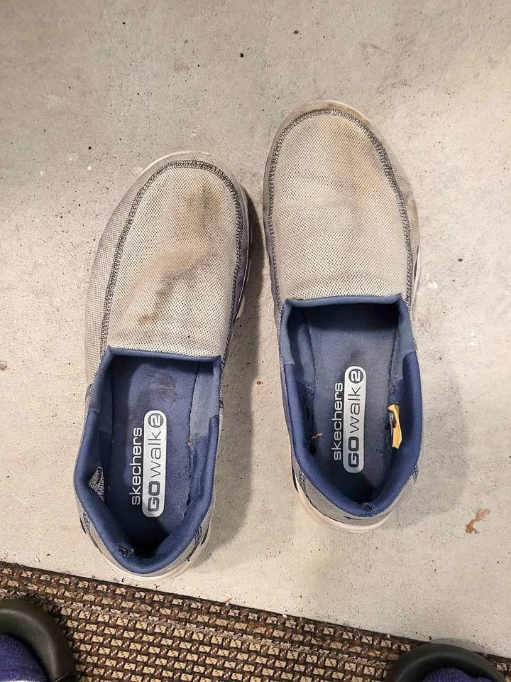 Sketcher Navy Blue Men Shoes