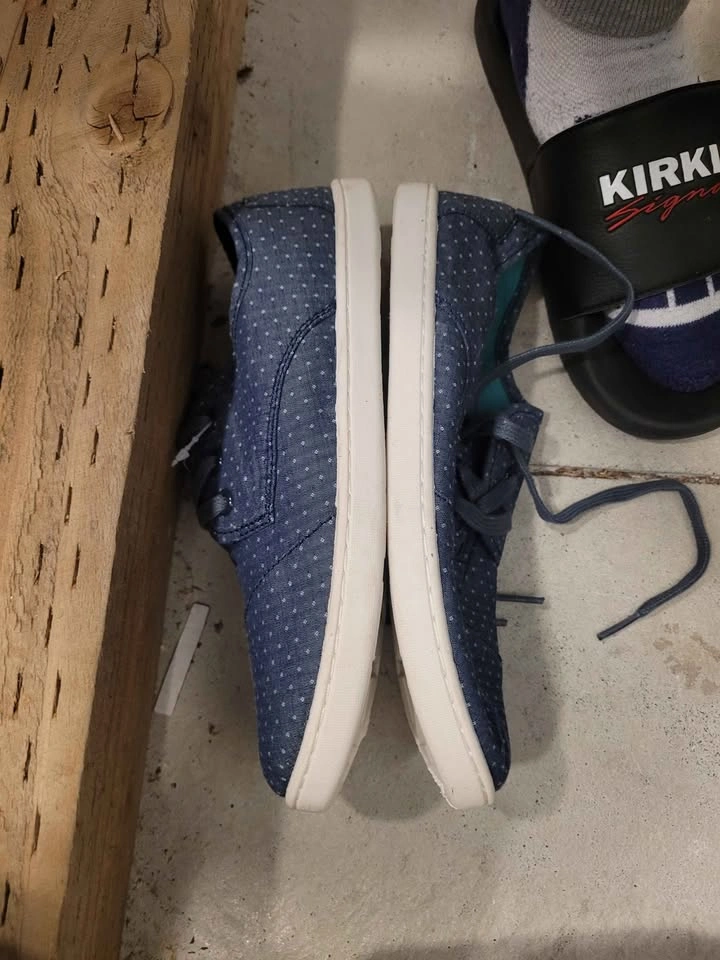 Toms Shoes Women's Ink Canvas Perforated Paseos Shoes - photo 3