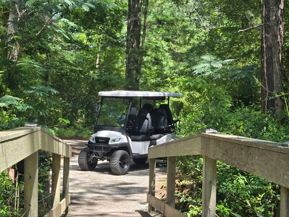 2026 Bintelli Beyond 6L Street Legal Lifted Golf Cart - photo 2