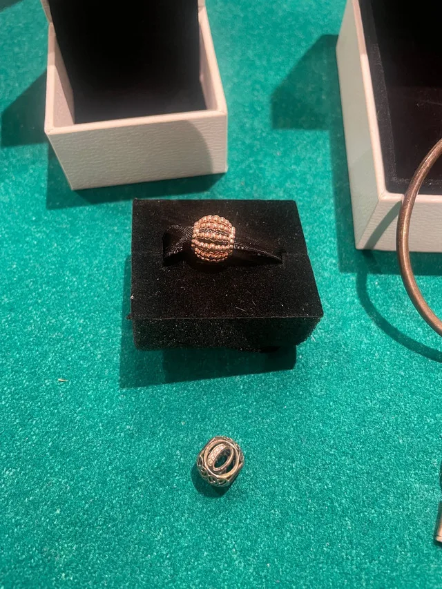 Pandora bracelet and charms - never worn image indicator(2)