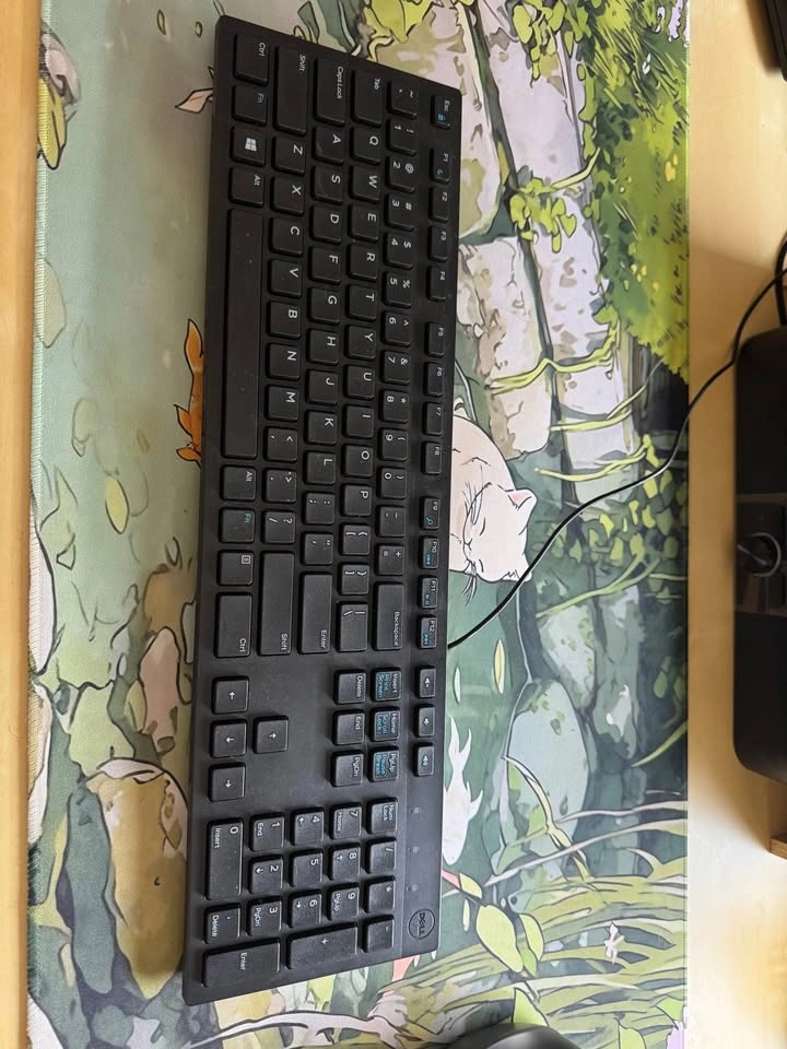 Dell Wired Keyboard - photo 3