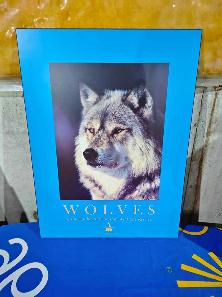 Vintage 90's Wolves Haliburton Reserve Laminated Wooden Poster