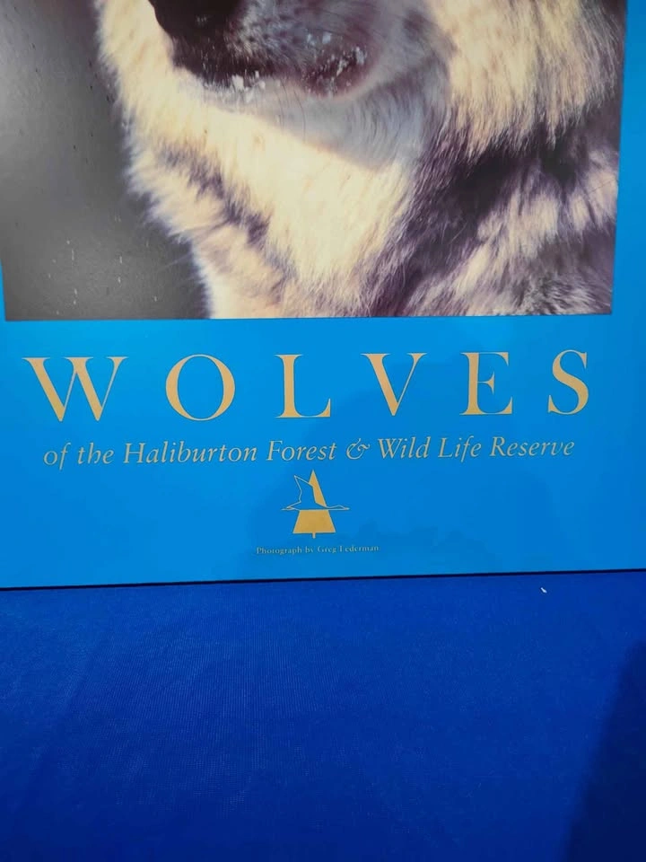 Vintage 90's Wolves Haliburton Reserve Laminated Wooden Poster - photo 2