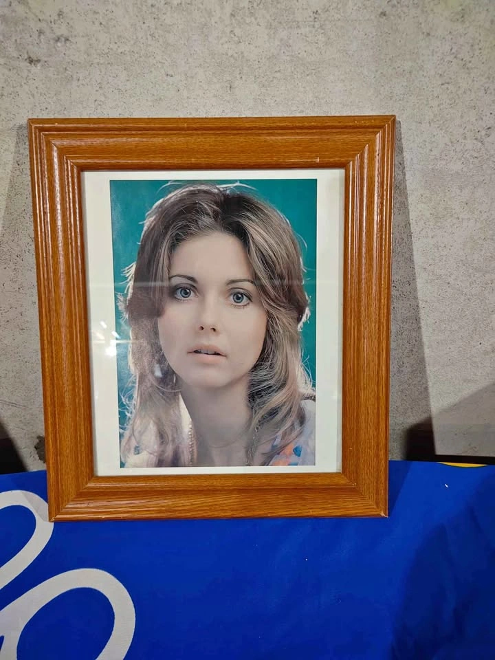 Vintage 80's Olivia Newton John Framed Portrait