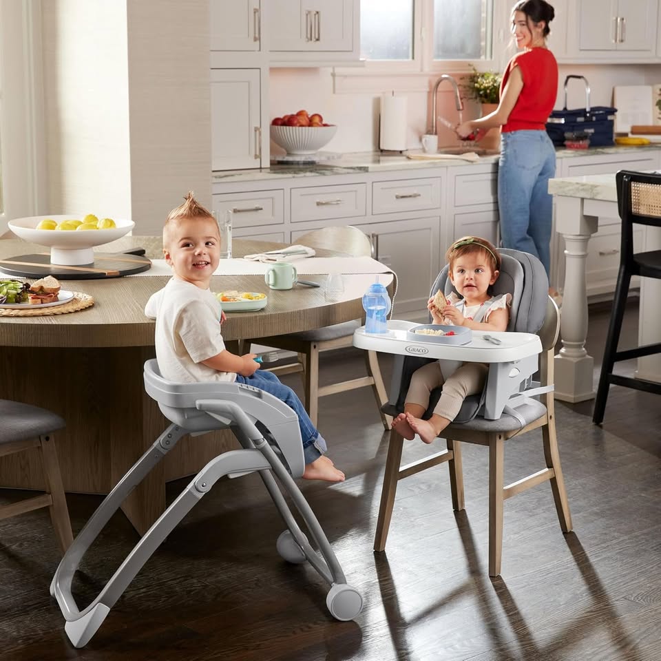 Graco DuoDiner 6 in 1 High Chair - Arlo - Brand New - photo 4