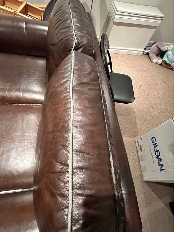 Moving out ASAP: Used couch for FREE. Pick up ASAP