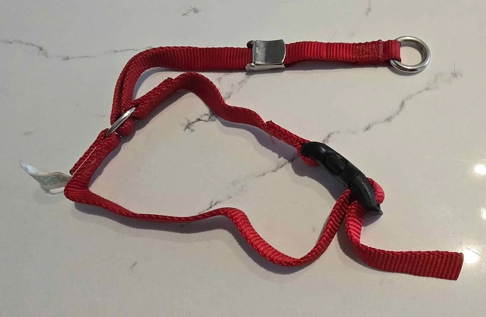 🥕 Gentle Leader Headcollar for Dogs - Small - Red - photo 4