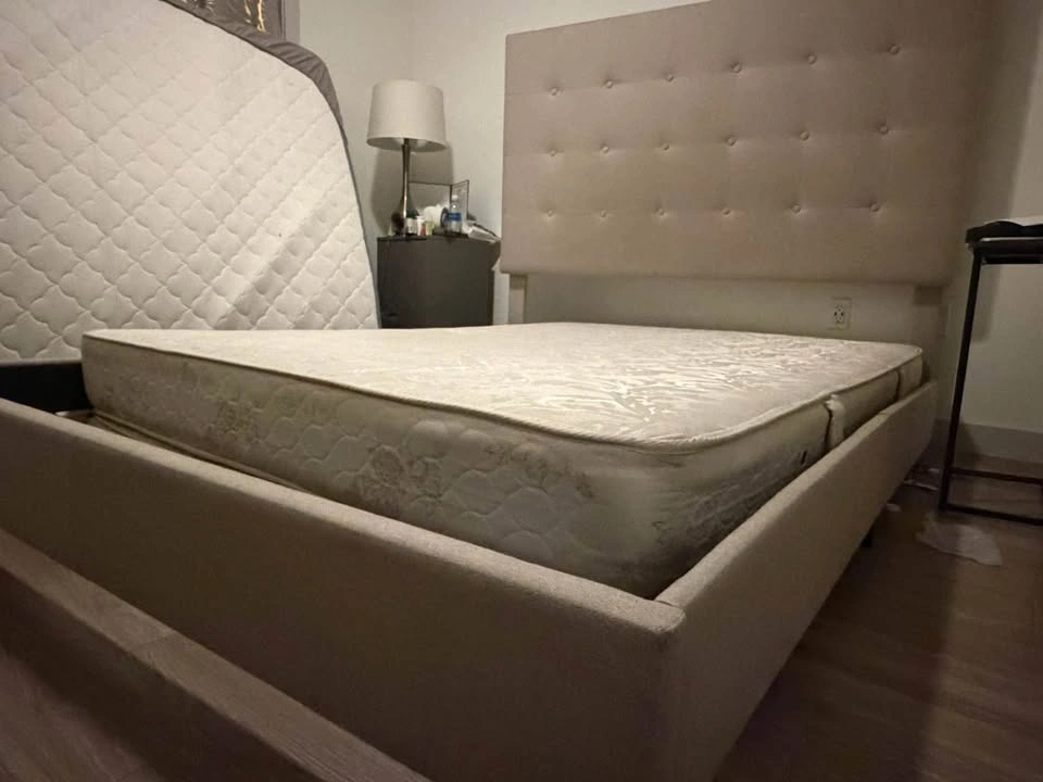 Queen Upholstered Bed Frame (Modern Beige) – Great Condition - photo 2