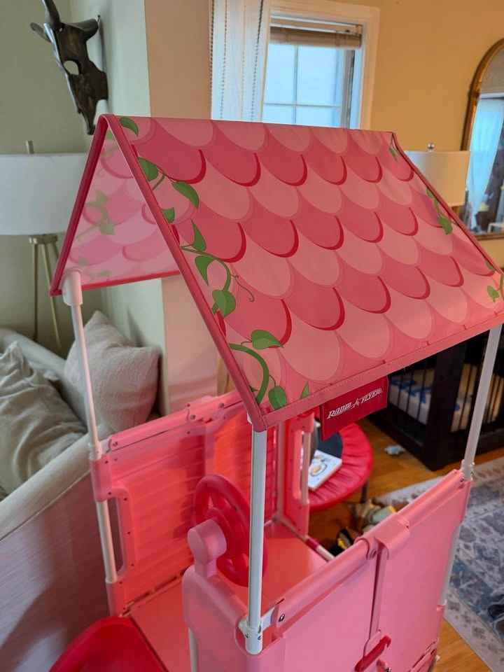 Radio Flyer Climber with Slide