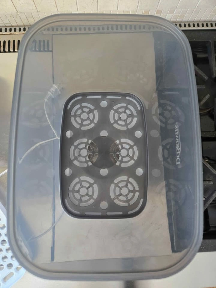 Dr. Brown's Sterilizer Dryer + HEPA Filter + 7 Bottles - photo 4